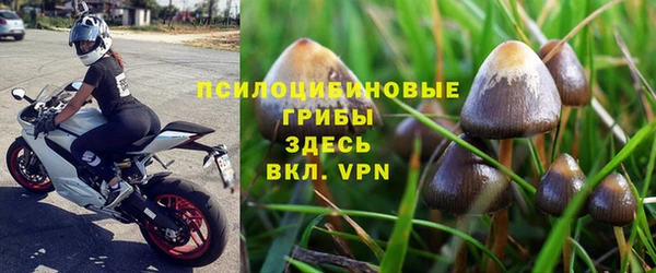 ALPHA PVP Алексин