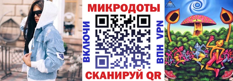 Псилоцибиновые грибы Psilocybe  Ленинск-Кузнецкий 